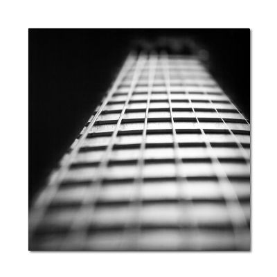 Guitar Fretboard